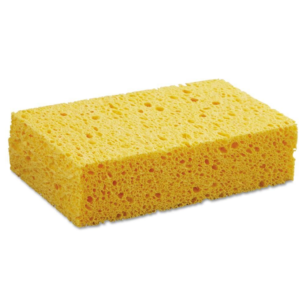 Compostable Household Sponges &Keep