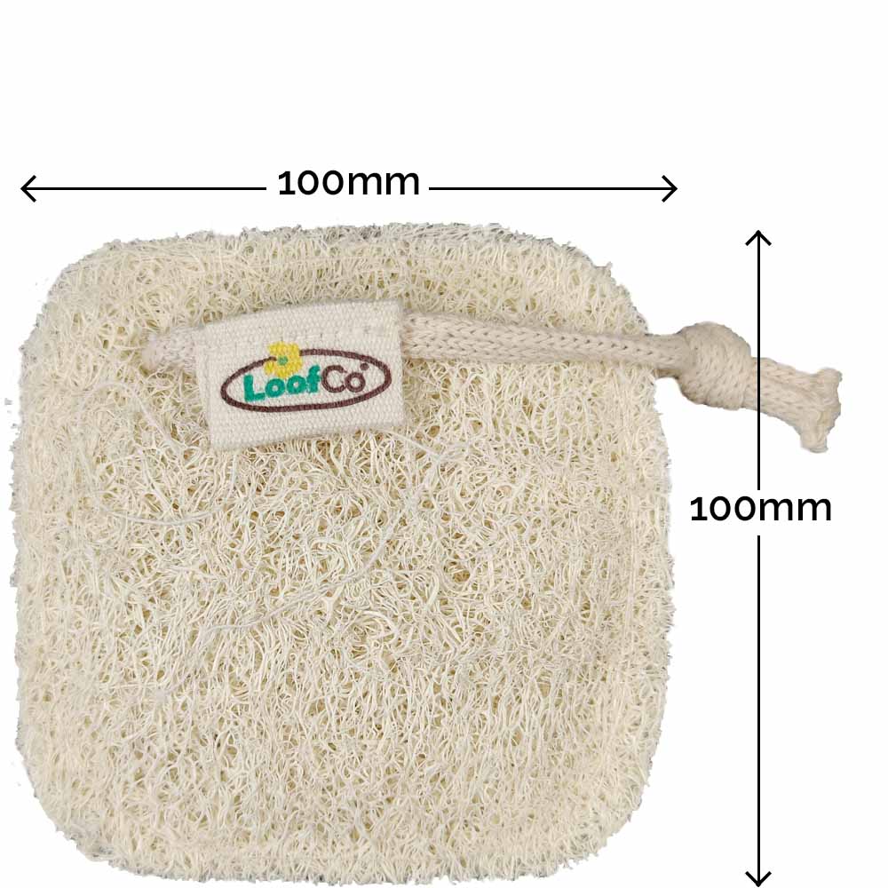 LoofCo Sustainable Loofah Cleaning Pads - 2 Pack &Keep