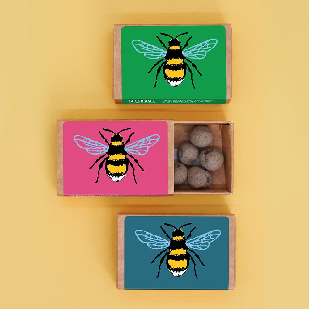 Seedball Wildflower Seedball Box