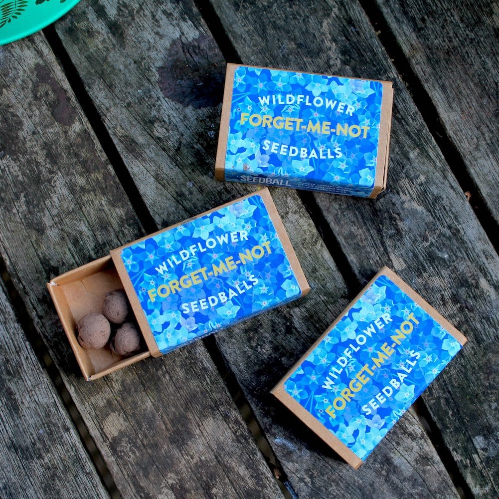 Forget-Me-Not Seedball Wildflower Boxes &Keep