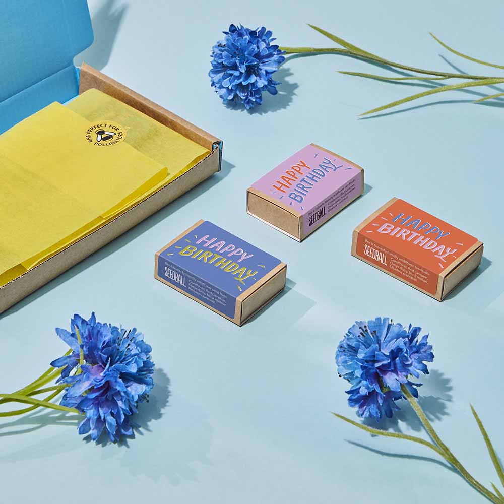 Happy Birthday Wildflower Box