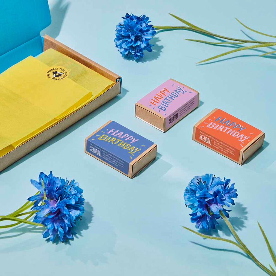 boxed wildflower seeds Happy Birthday Wildflower Seedball Boxes UK Native Pollinators