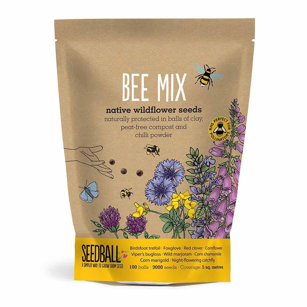 Seedball Wildflower Grab Bag - Bee Mix &Keep