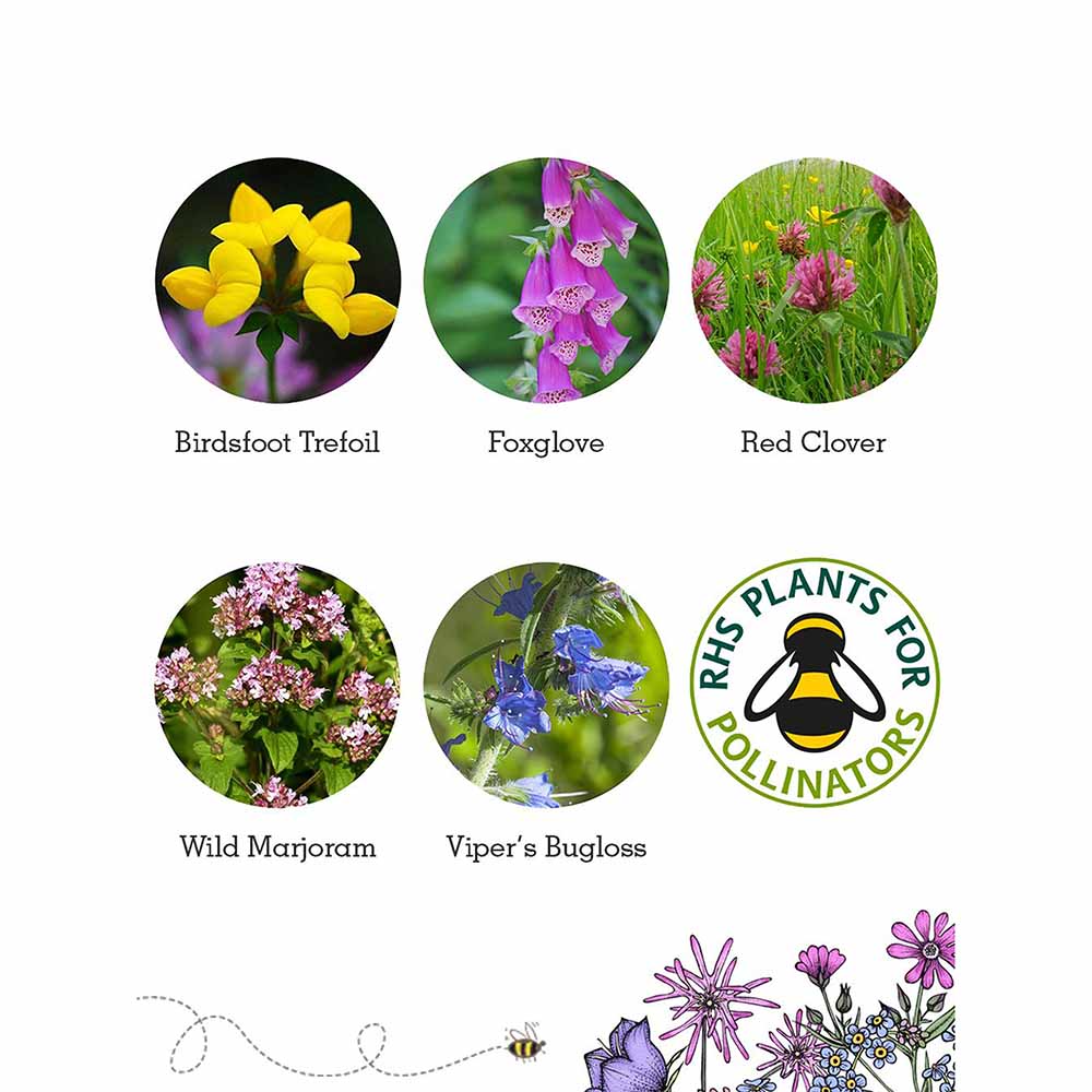 rhs wildflower seeds Seedball Wildflower Grab Bag Bee Mix Pollinators UK Native
