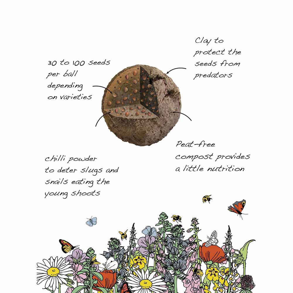 Seedball Wildflower Grab Bag - Butterfly Mix &Keep