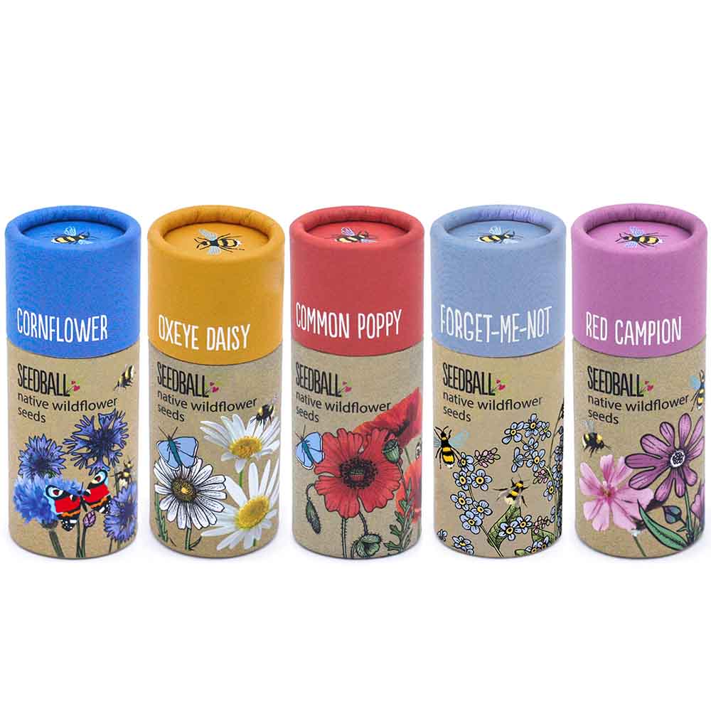 Wildflower Tubes