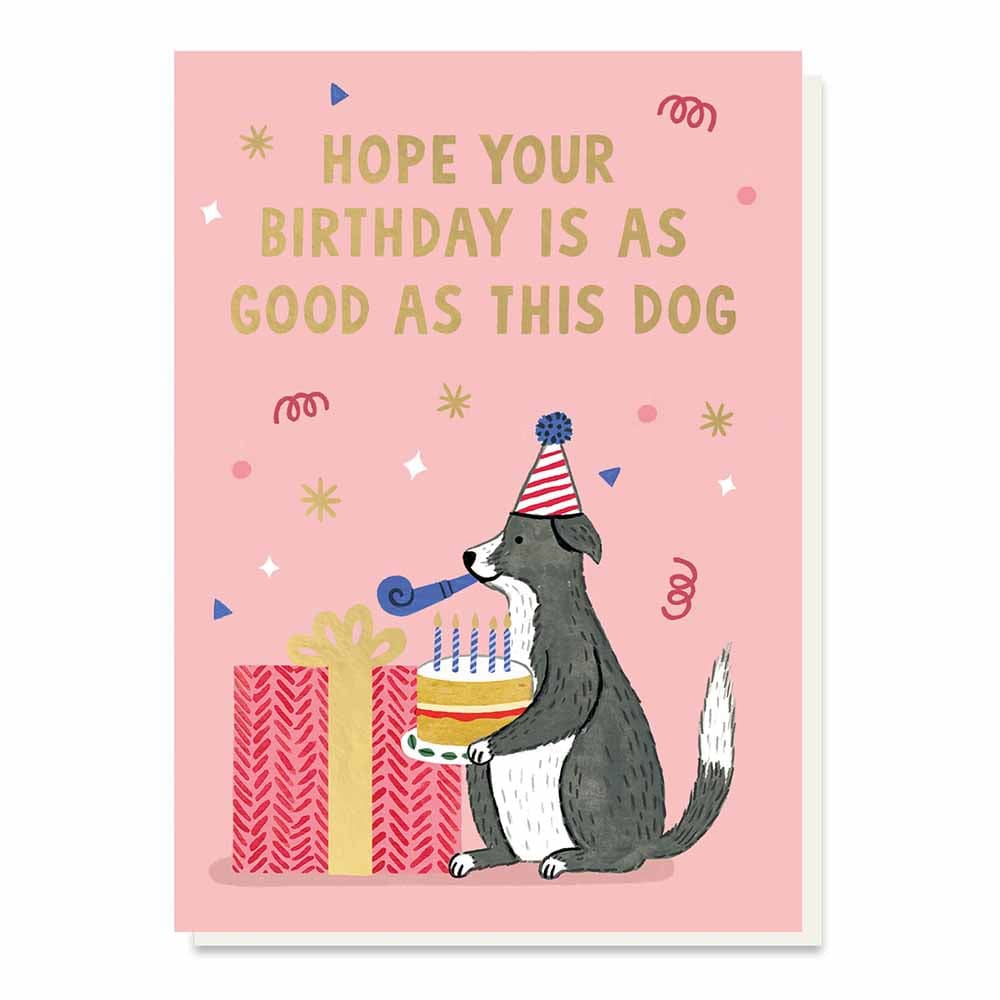 Good Dog Birthday Greetings Card Stormy Knight &Keep